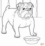 Bulldog Coloring French Pages Jack Puppy Bulldogs Sheets Drawing Dog Printable Colouring Color Bull Russell English Print Dogs Super Easy sketch template