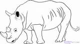 Rhino Coloring Rhinoceros Pages Outline Drawing Line Drawings Woolly Getdrawings Animal Printable Color Google Getcolorings sketch template