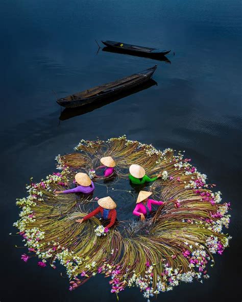 trung pham  instagram waterlilies  mekong delta vietnam