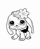 Coloring Pages Pet Puppy Baby Dog Lps Littlest Shop Cute Fluffy Chihuahua Printable Bunny Puppies Dogs Cat Little Print Kids sketch template