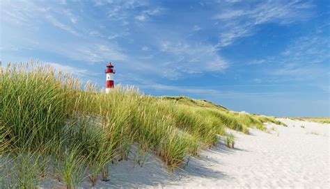 ferienhaeuser ferienwohnungen nordsee privat mieten