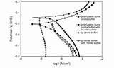 Membrane Anodic Cathodic Polarization Plots sketch template