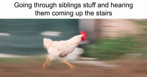 37 Sibling Memes That Prove They Can Be So Annoying Gallery Ebaum