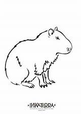 Capybara Inkaterra Downloadable Rainforest sketch template
