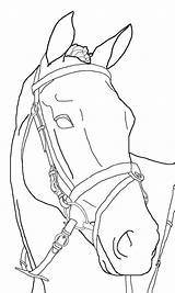 Paard Ruiter Pferde Dressuur Kleurplaten Pferd Lineart Wandtattoo Paardenhoofd Paarden Omnilabo Springend Malen Downloaden Moeilijk Kopf Süße Tekenen Kaynak sketch template