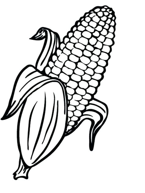 corn  drawing  getdrawings