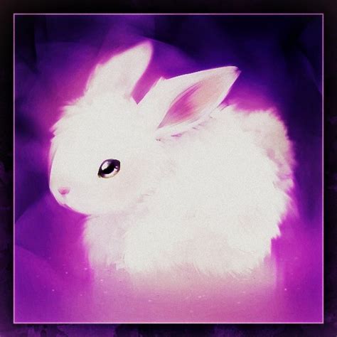 bunny bunny rabbits fan art  fanpop