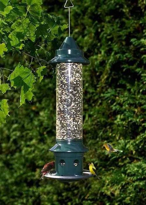 squirrel buster   optional weather guard squirrel proof bird feeders squirrel