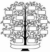 Stencil Arbre Pohon Coloring Keluarga Genealogico Stamboom Pasal Silhouette árbol Albero Sketch Silsilah Colorare Inti Genealogy Familia Gegroepeerd Worden Naamplaatjes sketch template