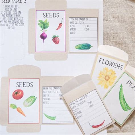 printable seed packets gardening diy  amy