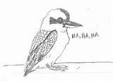 Kookaburra Drawing Drawings sketch template