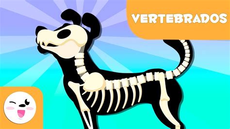 desenhos de animais vertebrados desenhos de animais