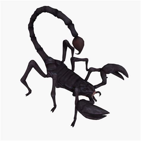 ma black scorpion animations