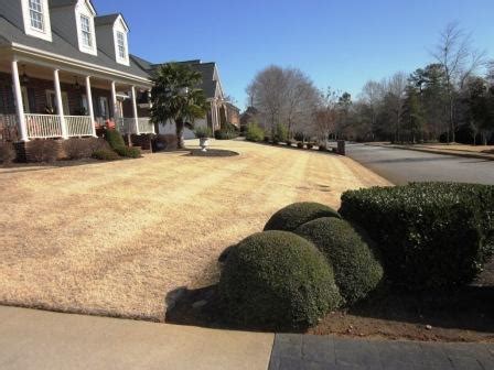 portfolio landscaping company  greenville greer sc southern