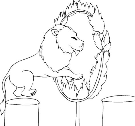 lion  coloring page  printable coloring pages  kids