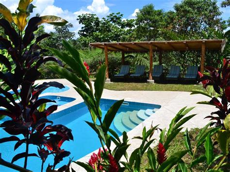 hotels regio jungle ecuador landen cosmic travel reizen naar zuid amerika