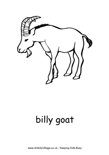 hwfd billy goat coloring page  kids hd wallapapers