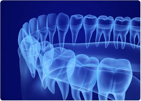 micro ct of dental samples for forensic analysis