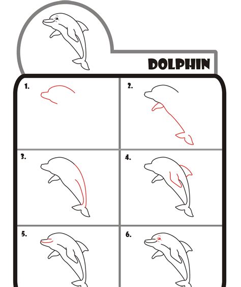 sketch  dolphin step  step  drawing tutorials