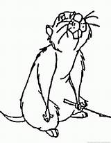 Gopher Coloring Pages Drawing Getdrawings Animal Zoom Print sketch template