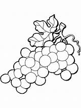 Coloring Pages Grape Grapes Vine Ape California Color Fruits Mission Leaves Getcolorings Printable Getdrawings Drawing Recommended Clipartmag Line Print Raisins sketch template