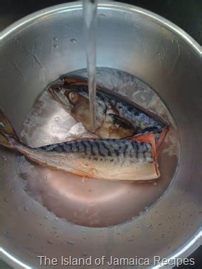 jamaican salt mackerel recipe pickled mackerel jamaican cookery news