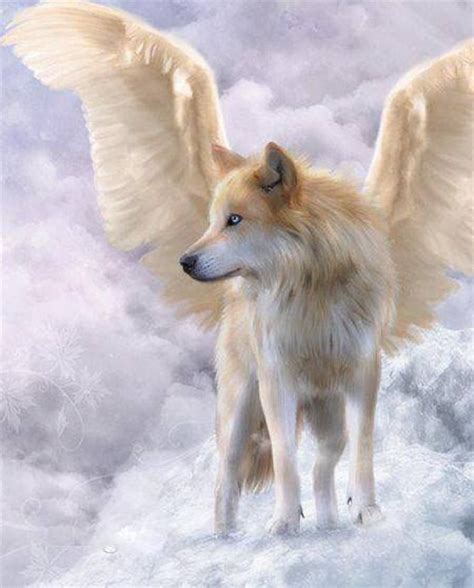 31 Best Wolves With Wings ♡♥♡ Images On Pinterest Wolves Anime