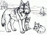 Cubs Cub Wolves Howling Nimbus Brandmalerei Wolfs Getcolorings sketch template