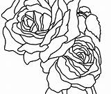 Roses Bunch Drawing Rose Coloring Pages Clipartmag sketch template