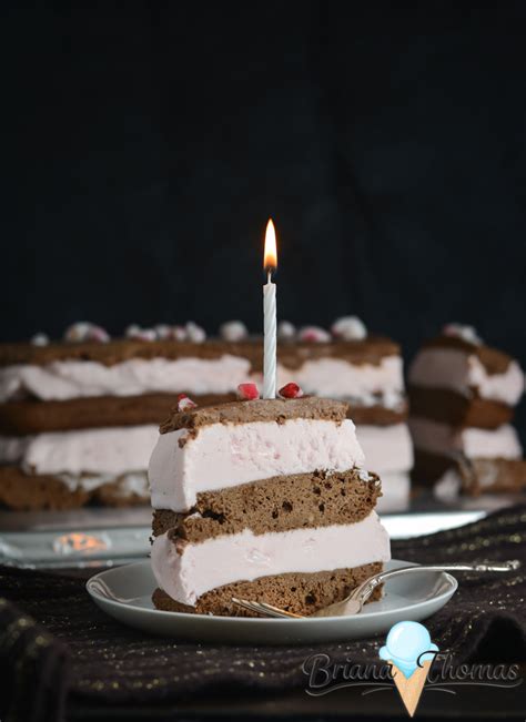 peppermint brownie ice cream cake   st birthday briana thomas