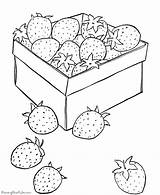 Coloring Strawberry Pages Printable Kids Sheet Food Color Print Fruit Strawberries Para Box Clipart Colorir Raisingourkids Colouring Sheets Desenho Popular sketch template