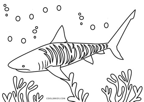 compelling methods  utilizing tiger shark pictures  color