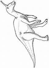 Tsintaosaurus Interesse Dinosaurier sketch template