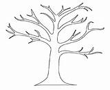 Tree Outline Printable Leafless Cliparts Bare sketch template