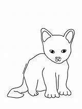 Katzen Malvorlagen sketch template