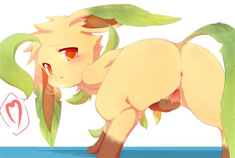 Pokémon Of The Week 100th Entry Eevee Extravaganza Edition Luscious