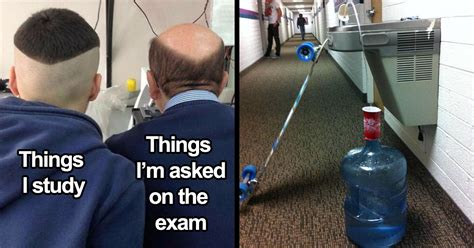 funny memes  perfectly capture student life demilked