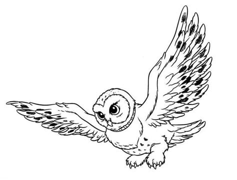 owl coloring pages coloringpagescom