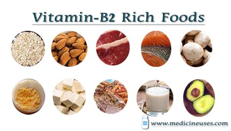 Vitamin B2 Rich Foods Health Tips