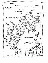 Fish Coloring Pages Angel Angelfish Tropical Printable Kids Drawings Library Clipart Popular 24kb sketch template