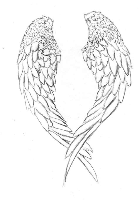 angel wings coloring pages cuttable  worksheets