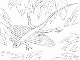 Lizard Xianglong Draco Komodo Realistic Kleurplaat Flugdrachen Komodovaraan Echsen sketch template