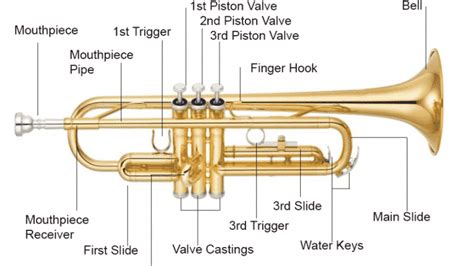 trumpet parts  full guide  pictures