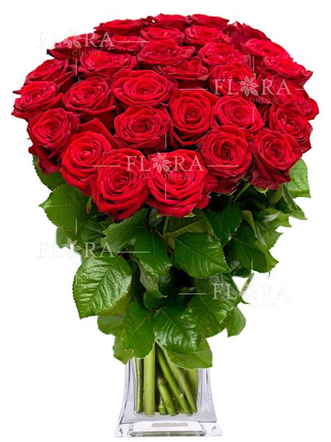 kytice rudych ruzi ruze flora