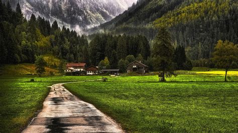 nature landscape mountain forest farm grass snow fence mist trees barns dirt road