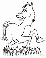 Tegninger Hest Heste Pferd Sjove Tegnet Lustiges Ausmalbild Supercoloring Ausdrucken sketch template