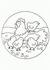 Poule Poussin Poussins Ausmalbilder Küken Greatestcoloringbook Hühner Kinder Fronhas Ausmalen Ostern sketch template
