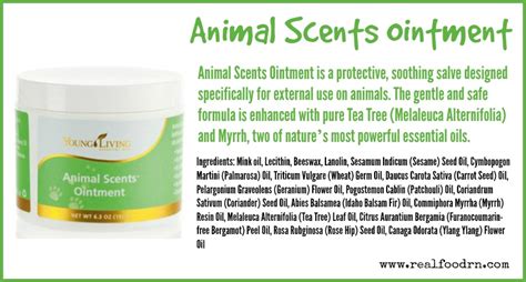 animal scents ointment real food rn