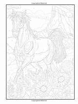 Color Number Coloring Pages Numbers Dover Horse Publications sketch template