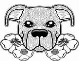 Coloring Pages Dog Pitbull Mandala Adults Adult Puppy Colouring Printable Color Skull Sugar Pit Bull Sheets Para Cute Coloriage Books sketch template